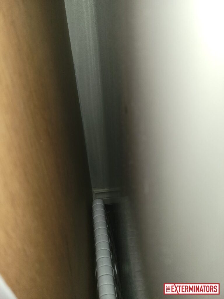 oshawa crawlspace overview inspection 05 oshawa crawlspace overview inspection 05