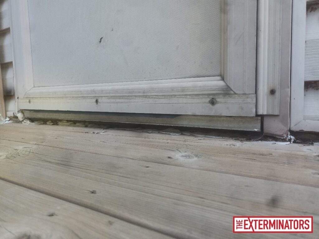 oshawa exterior gap opening inspection 01 oshawa exterior gap opening inspection 01