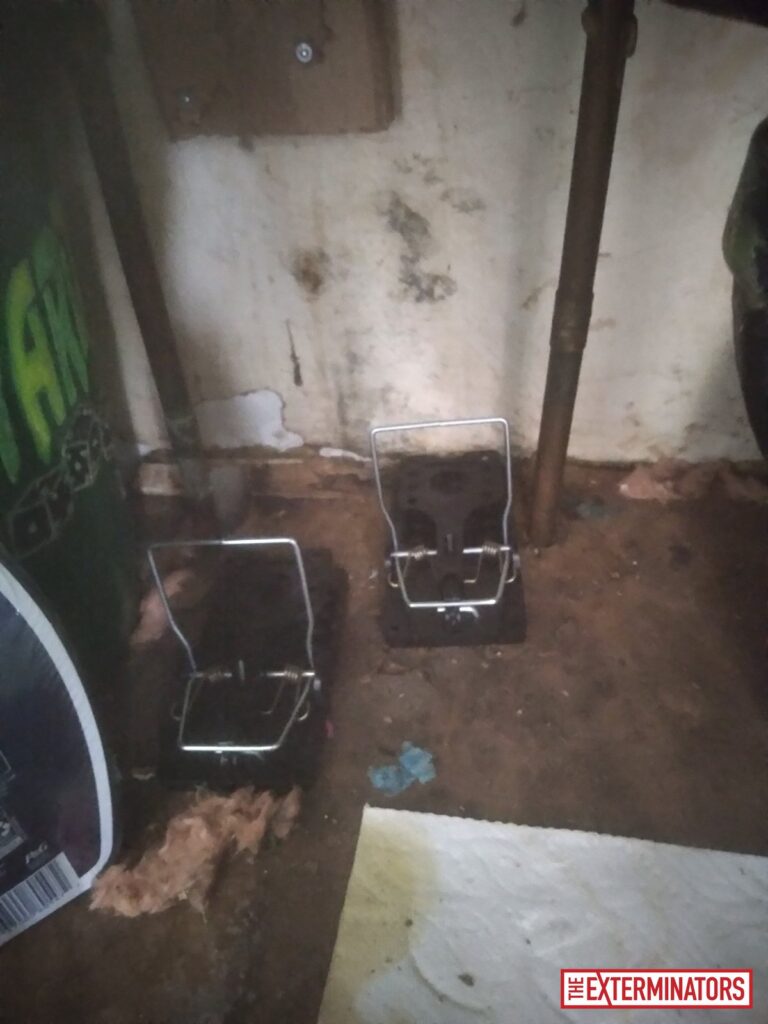 oshawa exterior overview inspection 01