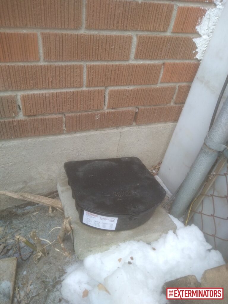 oshawa exterior overview inspection 02 oshawa exterior overview inspection 02