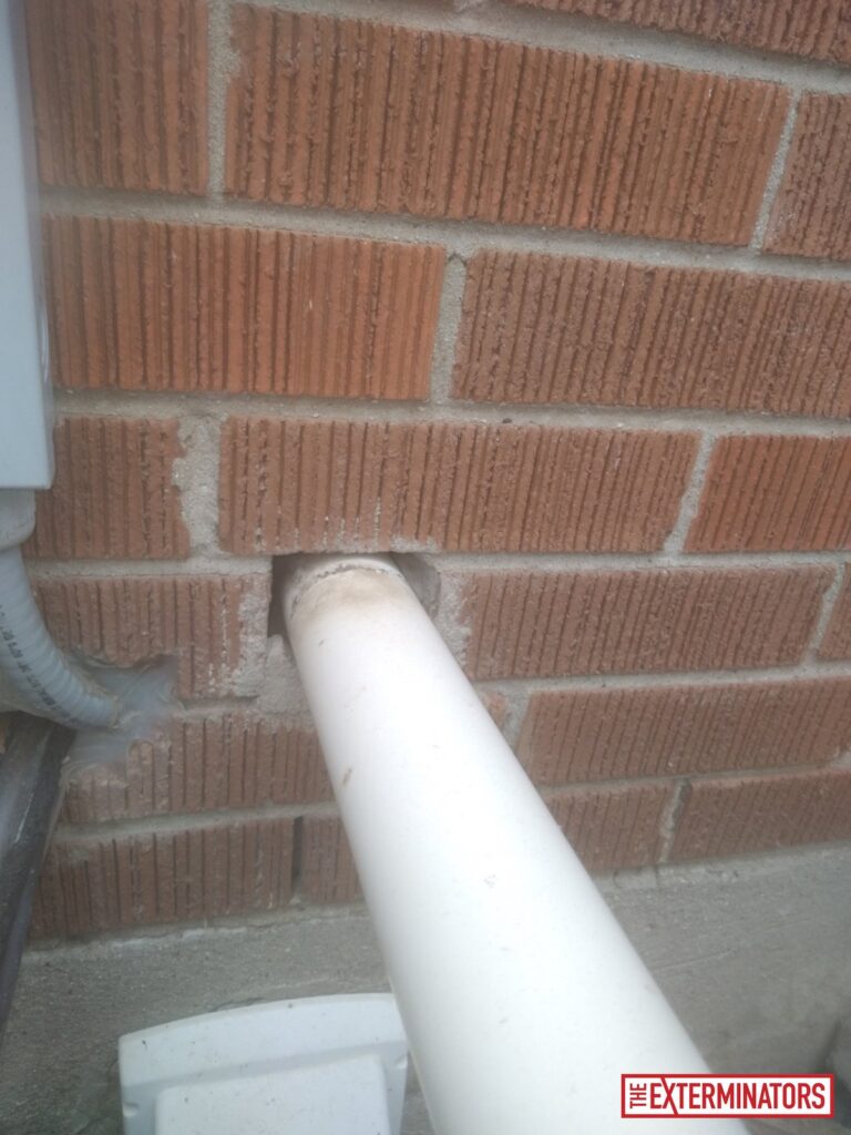 oshawa exterior overview inspection 03 oshawa exterior overview inspection 03