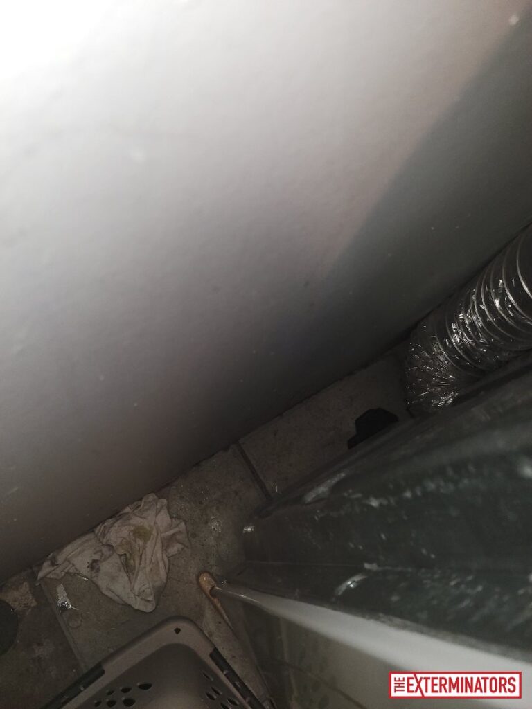 oshawa interior overview inspection 02 oshawa interior overview inspection 02