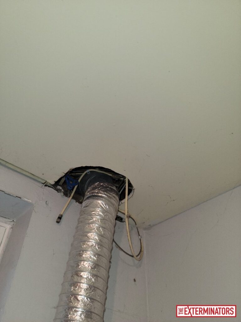 oshawa interior plumbing vent inspection 03