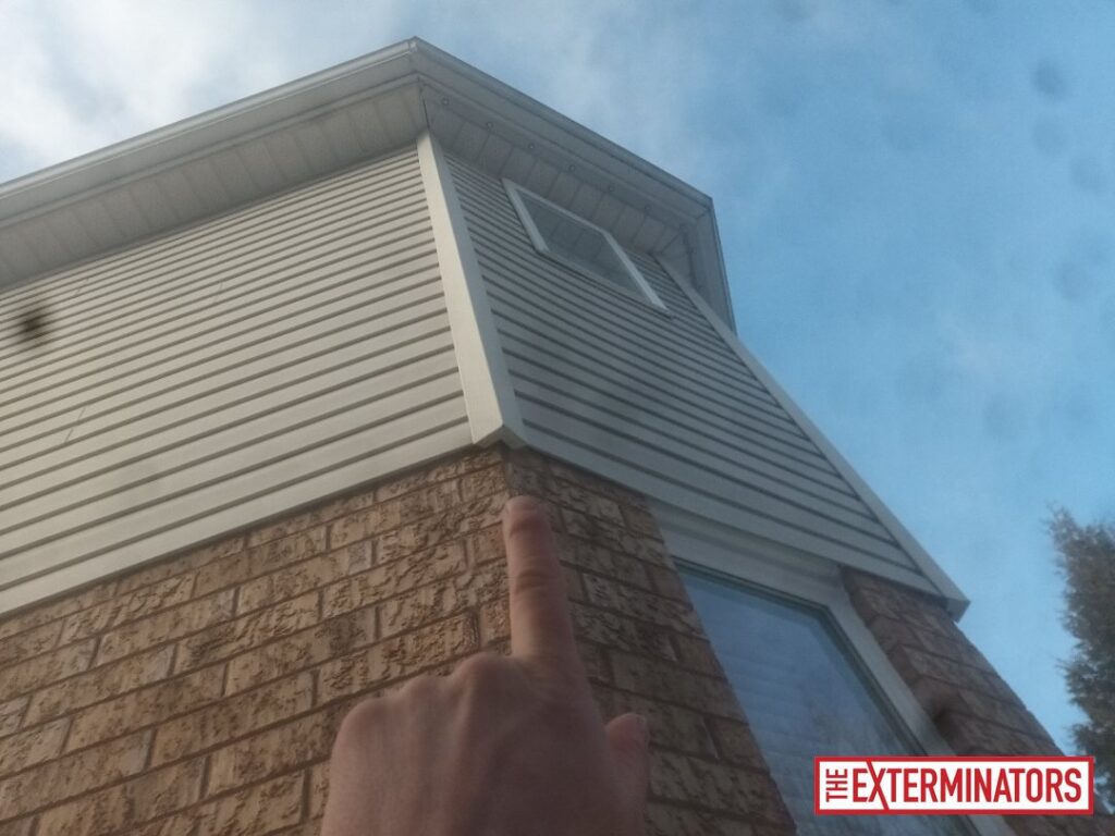 oshawa soffit gap opening before 01 oshawa soffit gap opening before 01