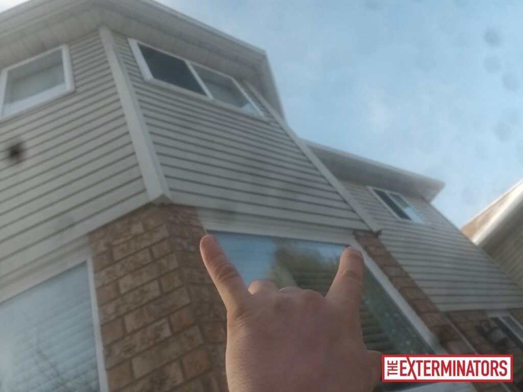 oshawa soffit gap opening before 02