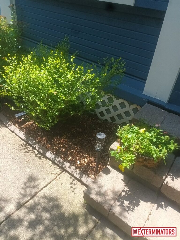 whitby exterior overview inspection 02