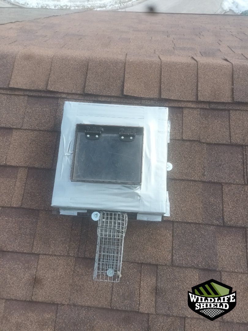 oshawa roof one way door install 03 oshawa roof one way door install 03