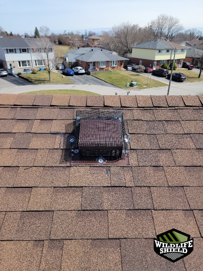 oshawa roof overview after 06 oshawa roof overview after 06