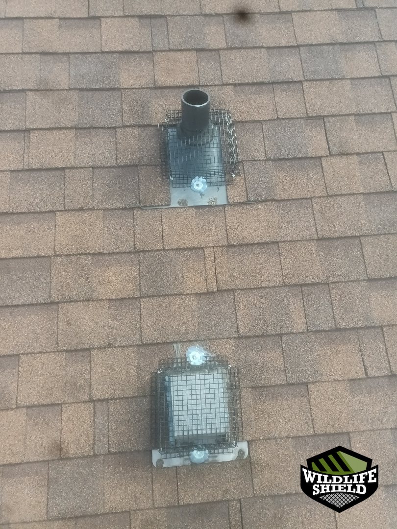 oshawa roof plumbing vent after 05 oshawa roof plumbing vent after 05