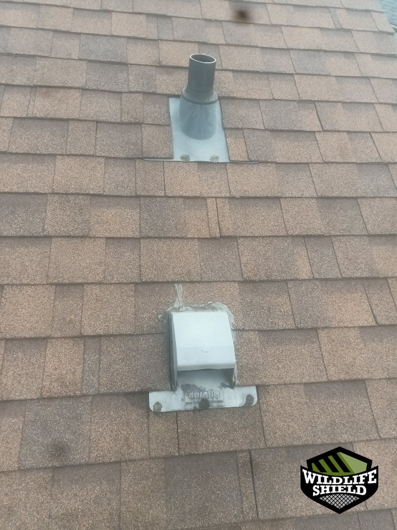 oshawa roof plumbing vent before 02 oshawa roof plumbing vent before 02