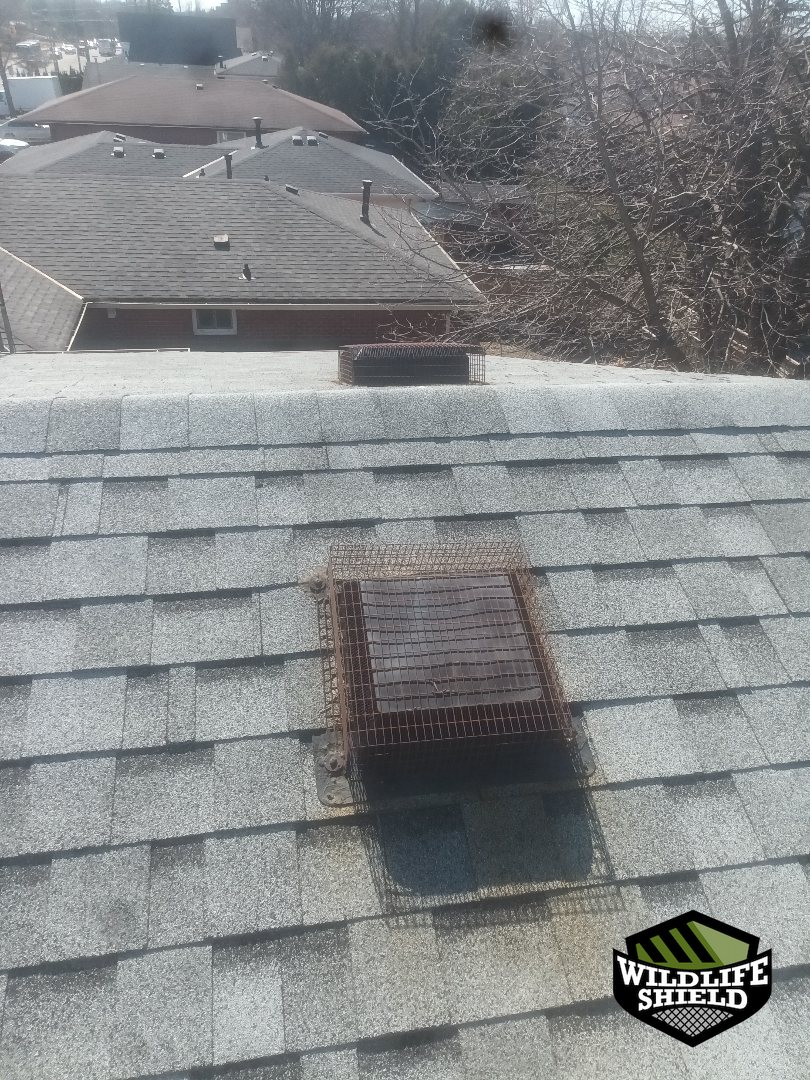 oshawa roof roof vent after 02 oshawa roof roof vent after 02