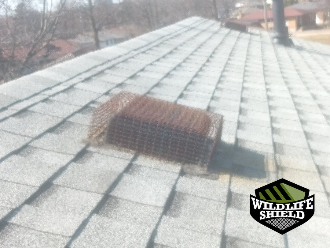 oshawa roof roof vent after 03 oshawa roof roof vent after 03