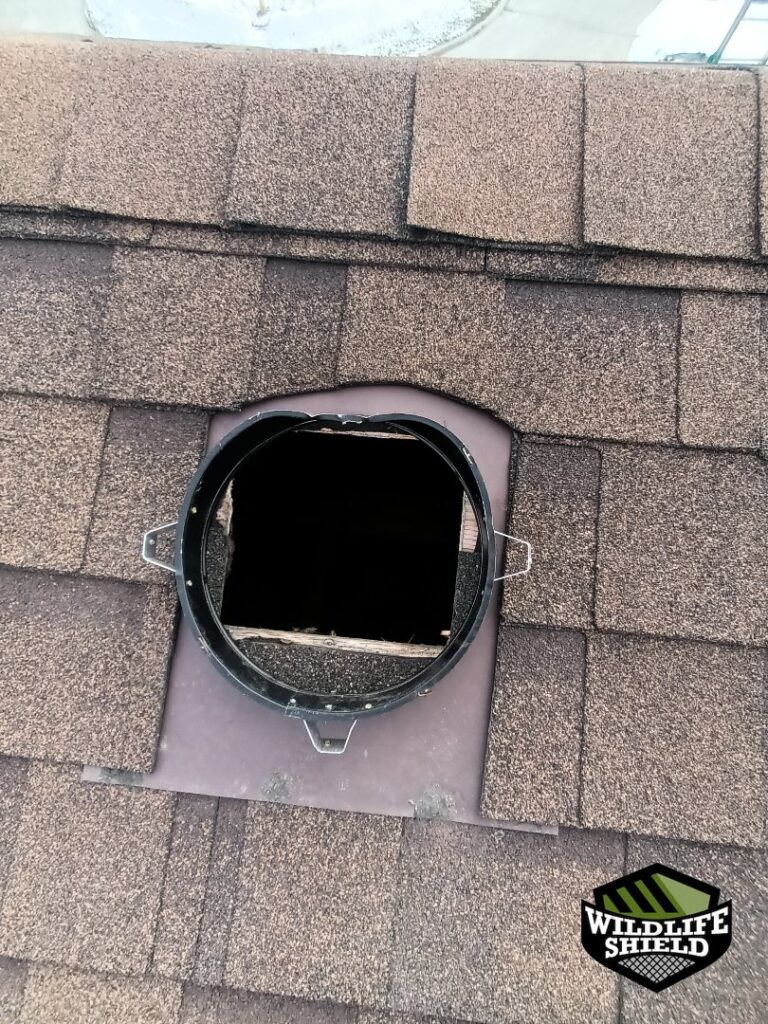oshawa roof roof vent before 01