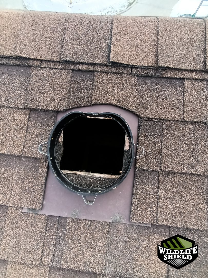 oshawa roof roof vent before 01 oshawa roof roof vent before 01